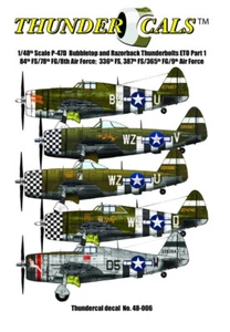 1/48 Thundercals Bubbletop & Razorback Thunderbolts ETO Part 1 84th FS/78th FG - Picture 1 of 1