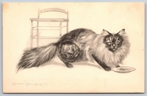 Vintage Postcard Cat Long Haired Smoke angora Tom Artist Drawing *5256 - Picture 1 of 2