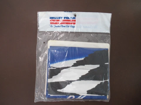 Valley Forge Ford Racing NASCAR Dale Jarrett Decorative Flag 28"x40" (D LB) Cover