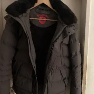 wellensteyn Winter Jacke in Gr.L, in Grau, Stardust,Neu ungetragen Top Qualität - Bild 1 von 16