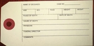Coroner, Funeral identification Toe Tags x 100 - Picture 1 of 4