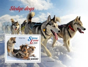 Sierra Leone - 2019 Sledge Dogs on Stamps - Stamp Souvenir Sheet - SRL190414b - Picture 1 of 1