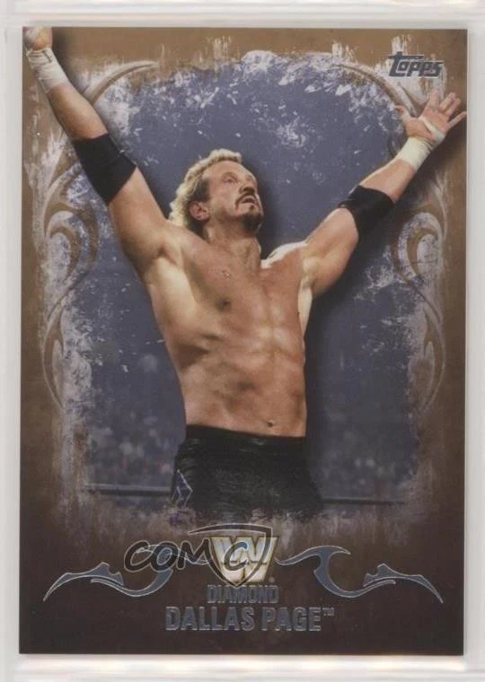 2016 WWE Undisputed Tag Team Championship Bronze /99 Diamond Dallas Page Patch - Image 1 of 2
