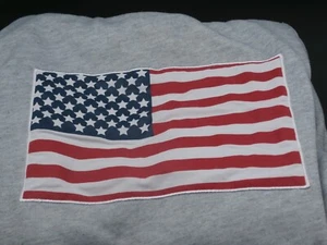 Vintage Champion Reverse-Weave Hoodie Large American Flag Patch on Back Lady Sm - Picture 1 of 18
