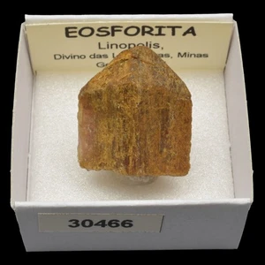 EOSFORITA x/l (Linopolis, Divino das Laranjeiras, Brasil) #30466 / Eosphorite - Imagen 1 de 1
