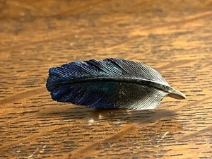Beautiful Small Hand Carved Wood, Hand Painted Feather Pin, Signed - Picture 1 of 5