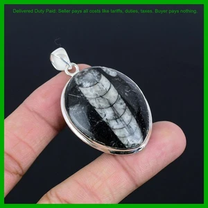 Thanks Giving Day Sale 925 Silver Orthoceras Fossil Gemstone New Pendant Jewelry - Picture 1 of 6