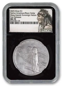 2025 Mesa Grande Native America Bison Dollar 1 oz .999 Silbermünze - NGC MS 70 - Bild 1 von 5