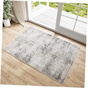 2x3 Entryway Rugs Machine Washable Area Rug Entrance Door Mat Indoor 2'x3' Grey - Picture 1 of 7