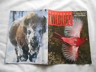 NATIONAL WILDLIFE Magazine-FEBRUARY-MARCH,1996-PARADOX OF THE ARTIC FOX