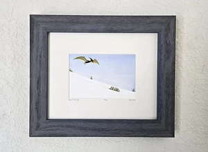 Greg Stones PENGUINS STEAL EGG Limited Edition Signed Art Print - Picture 1 of 6