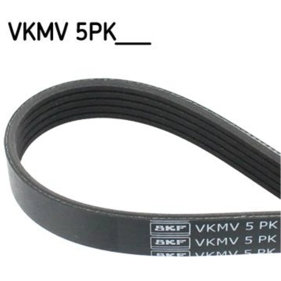 SKF Courroie À Nervures Pour Rover 800 Hatchback Coupé VKMV 5PK1790 - Photo 1/1
