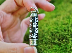 LARGE VIAL Pet Cremation Pendant Urn Jewelry for Ashes Dog Cat Paw Prints - Picture 1 of 10
