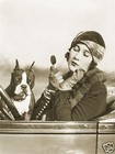 BOSTON TERRIER & 1920
