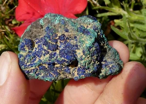 Chessylit & Malachit 4,5x3cm Chessy Les Mines Frankreich Mineral Sammlung Stein - Bild 1 von 9