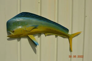 Mahi-Mahi 52" Half Mount - Picture 1 of 2