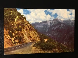 VTG POSTCARD / SEQUOIA NATL PARK / CALIFORNIA - Picture 1 of 3