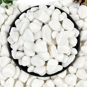 Rocas de río blancas de 2 lb, guijarros naturales de 5/8 pulgadas para plantas de interior, Blancanieves De - Imagen 1 de 7