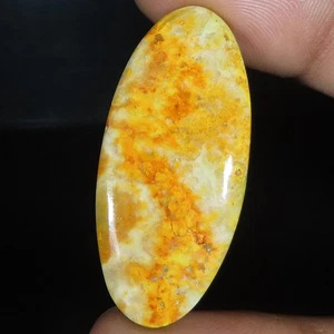 Pietra preziosa cabochon ovale diaspro ape bombo naturale 24,80 Cts 17x38x4 mm LP301 - Foto 1 di 6