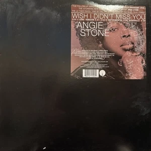 Angie Stone / Wish I Didn't Miss You 2001 US Vinyl J Records J1PV211491 - Picture 1 of 1