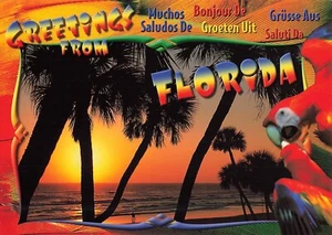 Greetings from Florida Colorful Sunset Beach Palm Tree Vintage Postcard FL 1970s - Picture 1 of 2