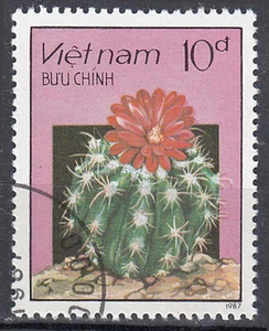 Vietnam Viet Nam gestempelt Blume Pflanze Kaktus Kaktee Flora Pflanzenwelt / 726 - Bild 1 von 1