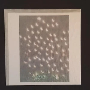 ABELARDO MORELL Magnum Cuadrado Impresión 6"x6" ECLIPSE SOBRE MADERA TERRANOVA Sin Abrir - Imagen 1 de 4