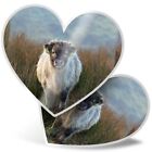 2 x Heart Stickers 15 cm - Baby Angus Cow Calf White Highland #16301