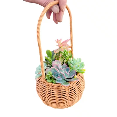 Succulent Cut Flower Planter Wicker Brown Basket for Indoor Gardening, Outdoor U - Image 1 of 4