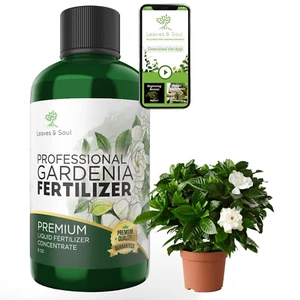 Professional Liquid Gardenia Plant Fertilizer | 3-1-2 Concentrate for Flowering - Picture 1 of 12