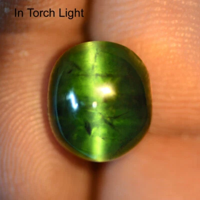Natural Top Green Tourmaline Cats Eye 12x10 mm Oval Cabochon  8.27 Cts Gemstone - Image 1 of 3