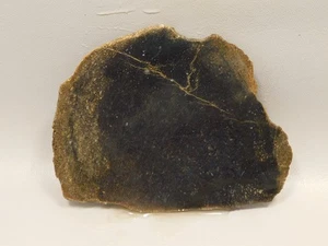 Dinosaur Bone Fossilized Unpolished Lapidary Stone Slab #O3 - Picture 1 of 11