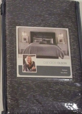 Funda de almohada Candice Olson Fantasia One Euro gris oscuro índigo NUEVO Foto 1 de 2