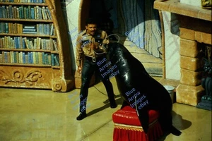 Vintage 1985 35mm Slide Sea World Seal and Trainer San Diego California #1427 - Bild 1 von 1