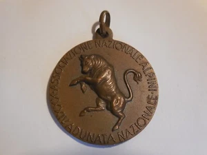medaglia adunata nazionale alpini a Torino 1961 - Picture 1 of 2