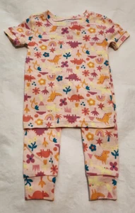 NWT Old Navy Dinosaur Rainbow Flower Pajamas PJs 2PC 18-24 Months Baby Girl - Picture 1 of 1