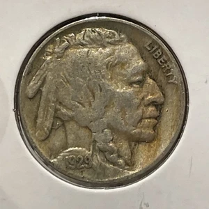 1929 5C Buffalo Nickel F5374 About 3/4 Horn - Picture 1 of 2