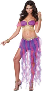 Pink & Purple Belly Dancer Sexy Adult Costume Medium 8-10 - Picture 1 of 1