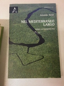 LIBRO NEL MEDITERRANEO LARGO DIARIO LATINOAMERICANO ARNALDO NESTI ARACNE 2012 - Imagen 1 de 4