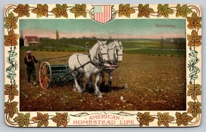 Vintage American Homestead Life Postcard Harrowing Farm Scene - Picture 1 of 2