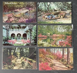 Bellingrath Gardens Mobile Alabama Postcard Lot - Picture 1 of 3