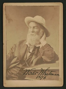 Walt Whitman, 1876, foto de retrato, década de 1870, poeta, nueva reproducción de foto antigua - Imagen 1 de 1