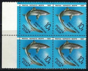 RUSSIA,USSR:1991 SC#5956 block of 4 MNH Marine Life - Picture 1 of 2