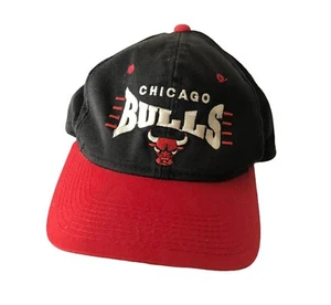 De colección Chicago Bulls NBA Gorra Sombrero Raro Camión Sobre Estampado Para Hombres Raro Hype Talla Única - Imagen 1 de 6
