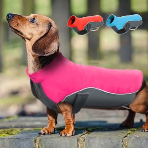 dachshund coats ebay