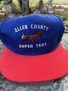 Allen County Super Trot Hat Vintage 90’s Horseracing - Picture 1 of 4
