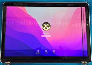 *Líneas verticales* Conjunto de pantalla LCD MacBook Pro Retina 13 A1502 2015 - Imagen 1 de 10