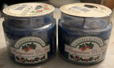 CANDLE-LITE Nuevo Lote 2 Velas Perfumadas Bálsamo Pino Vintage Fragancia De-Lite 4 OZ Foto 1 de 4