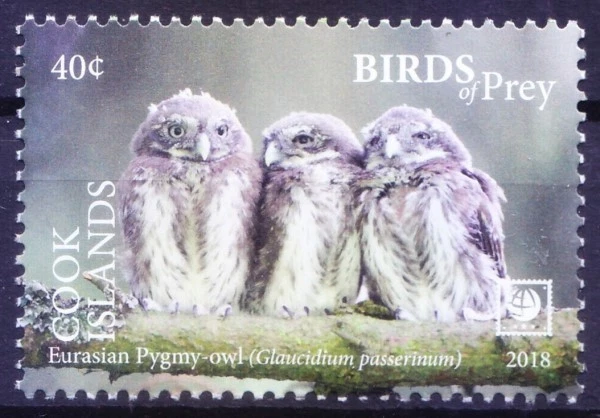 Islas Cook 2018 MNH, búho pigmeo euroasiático, aves rapaces Foto 1 de 1
