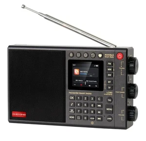 CHOYONG LC90 Multi Band Internetradio tragbar AM/FM, Langwelle & Kurzwelle WLAN - Bild 1 von 19
